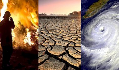 تهديدات للأمن الغذائي.. اضطرابات كبرى تواجه العالم بحلول عام 2030 بسبب تغيرات المناخ