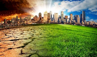 طائرات خضراء للحفاظ على البيئة