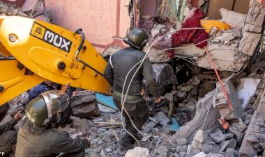 معاني الإنسانية... الإمارات تعطي نموذجاً في الدعم والإغاثة للشعب المغربي في أزمته