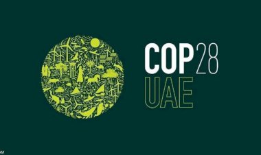 قمة كوب 28 تحتضن طموحات وحلول العمل المناخي..خبراء يكشفون التفاصيل