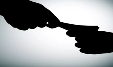 محللة دولية: لا يمكن الاستهانة بحجم اقتصاد الظل في العديد من الدول