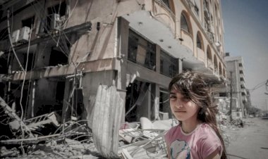 من إدانة الانتهاكات وإرسال المساعدات.. في 24 ساعة فقط تحركات إماراتية لإنقاذ غزة