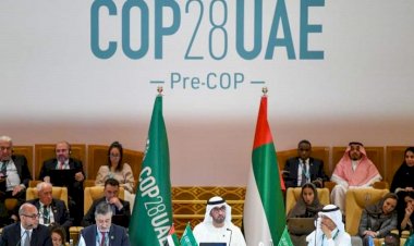 ديلي ميل: الإمارات أمل الدول الفقيرة تُجبر الغرب على سداد تعويضات أضرار المناخ