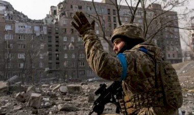 نيوزويك: نائب ألماني يحثّ أوكرانيا على قبول خسارة مؤقتة للأراضي لإنهاء الحرب مع روسيا