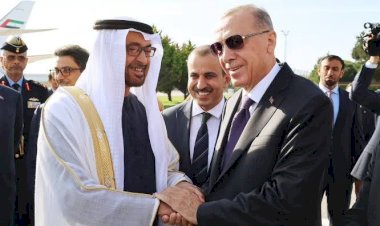 الرئيسان الإماراتي والتركي يناقشان تعزيز التعاون الثنائي والقضايا الإقليمية