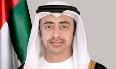 لماذا أعاد إيلون ماسك نشر تغريدة منذ عامين لوزير خارجية الإمارات