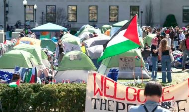 هل تصبح الاحتجاجات الجامعية الشرارة التي قد تغير وجه السياسة في أمريكا؟.. خبراء يجيبون