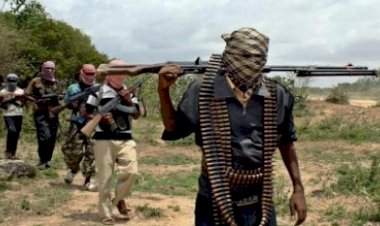 لماذا يحاول تنظيم داعش العودة مرة أخرى في أفريقيا