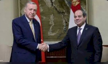 نجاح زيارة الرئيس المصري لتركيا يُربك حسابات الإخوان الإرهابية