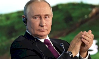 الدعم الصامت.. كيف يؤيد الرئيس الروسي صديقة دونالد ترامب في الانتخابات الأمريكية؟