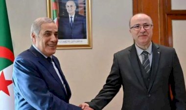 من هو محمد النذير العرباوي رئيس حكومة الجزائر الجديدة؟