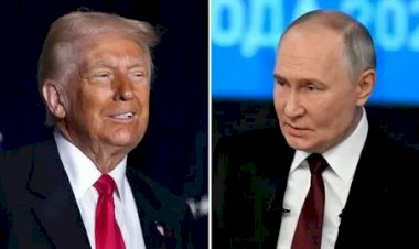 مباحثات ترامب وبوتين.. اتصالات مكثفة لوقف حرب أوكرانيا