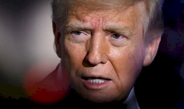 الرسوم الأمريكية تعيد رسم خريطة التجارة العالمية.. والبرازيل ومصر بين الرابحين