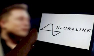 نيورالينك: شريحة جديدة تعيد البصر للمكفوفين بتقنية متطورة خلال 2025