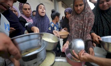 100 منظمة دولية تكشف جرائم إسرائيل في غزة.. الاحتلال رفض 60 طلبًا لإدخال المساعدات