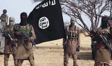محلل سياسي سوري: منطقة إدلب والشمال السوري باتت مأوى لعدد من المقاتلين الأجانب