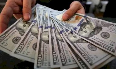 استقرار الدولار مقابل العملات العربية اليوم 14 سبتمبر