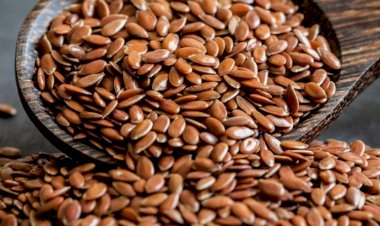 فوائد بذور الكتان للحامل ومخاطر الإفراط في تناولها