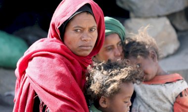 الأمم المتحدة تدق ناقوس الخطر: مليون يمني مهددون بالموت جوعًا وسط تصاعد القتال