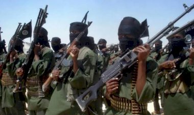 خبراء : عملية الصومال ضد الشباب تؤكد انهيار التنظيم