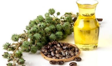 فوائد زيت الخروع للشعر