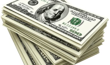 العملة الخضراء في الواجهة.. أسعار الدولار في عدد من البلدان العربية اليوم