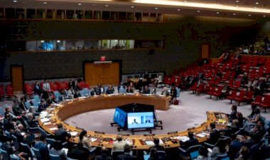 بعد إرسالها لمجلس الأمن.. تفاصيل المسودة الأمريكية لتكوين قوة دولية في غزة