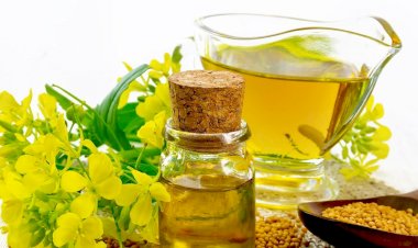 فوائد زيت الخردل للمفاصل والعظام