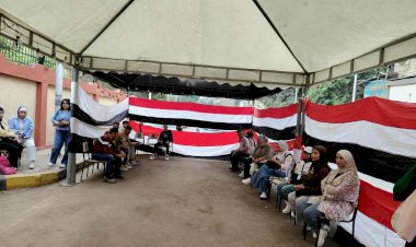 أستاذ علوم سياسية: الإقبال في المرحلة الأولى من انتخابات مجلس النواب 2025 يعكس وعيًا سياسيًا متزايدًا لدى المصريين