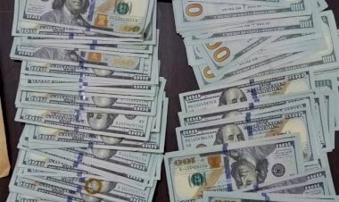 أسعار العملات العربية أمام الدولار الأمريكي الخميس 13 نوفمبر