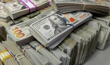 أسعار العملات العربية أمام الدولار الأربعاء 19 نوفمبر