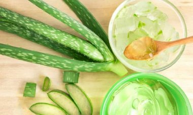 دليل شامل للتعامل مع البواسير بطُرق طبيعية وطبية