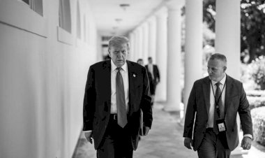 مودرن دبلوماسي: الإخوان يُواجهون ضربة قاضية بعد قرار ترامب