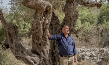 مستوطنات جديدة تغيّر خريطة الضفة الغربية وتفجّر موجة نزوح هي الأكبر منذ عقود