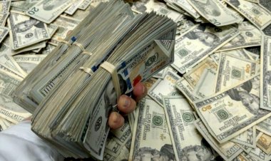 أسعار العملات العربية أمام الدولار الأحد 14 ديسمبر