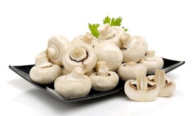 وصفات سهلة بالمشروم تضاهي أطباق المطاعم