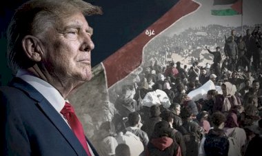 رسالة إلى الشمال المتجمد.. من هو جيف لاندري مبعوث ترامب الذي فجّر أزمة مع أوروبا؟