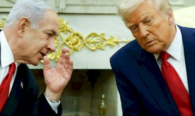 ترامب يدعو بوتين وأردوغان للانضمام إلى مجلس السلام لإعادة إعمار غزة