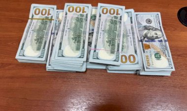 أسعار العملات الأجنبية أمام الجنيه المصري – اليوم الجمعة 13 فبراير 2026