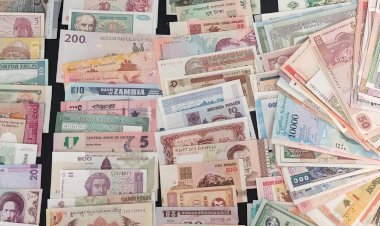 أسعار العملات الأجنبية أمام الجنيه المصري – اليوم الثلاثاء 31 مارس 2026