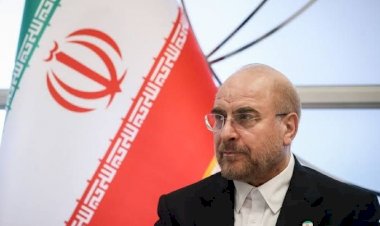 وُصف بـ الانتهازية وقمع الاحتجاجات بالعنف.. من هو قائد الوفد الإيراني في المفاوضات محمد قاليباف؟