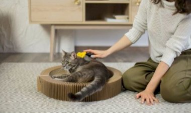 إزالة وبر الحيوانات الأليفة من الملابس.. 5 حيل فعالة بنتائج سريعة