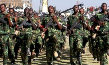 محلل سياسي سوداني: خسائر كردفان والنيل الأزرق تعكس أزمة عميقة في بنية الجيش
