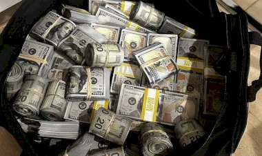 أسعار العملات الأجنبية أمام الجنيه المصري اليوم الإثنين 13 يوليو 2026