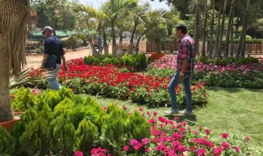 8 خطوات ذهبية للحفاظ على حيوية نباتاتك أثناء ارتفاع الحرارة