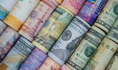 أسعار العملات الأجنبية والعربية أمام الجنيه المصري اليوم السبت 22 أغسطس 2026