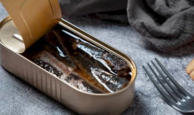 ماذا يحدث لجسمك عند تناول السردين المعلب يوميًا؟.. مفاجأة غير متوقعة