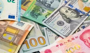 أسعار العملات اليوم أمام الجنيه المصري  — الإثنين 14 سبتمبر 2026