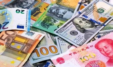 أسعار العملات الأجنبية أمام الجنيه المصري اليوم الخميس 24 سبتمبر 2026