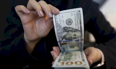 الدولار يتجاوز 2.5 مليون ريال في إيران.. العملة تهوي وسط تصاعد الضغوط الاقتصادية